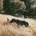 La Fuentona De Santillana