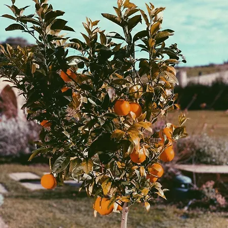 Farm stay La Fuentona De Santillana *