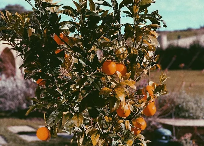 Séjour à la ferme La Fuentona De Santillana *