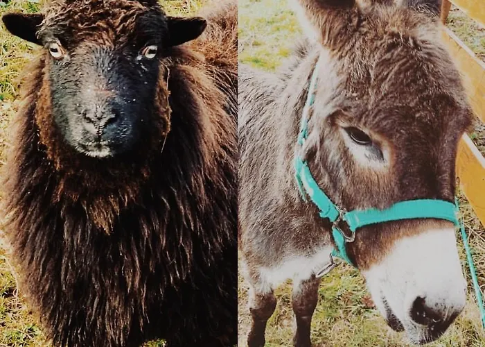 La Fuentona De Santillana Vispieres