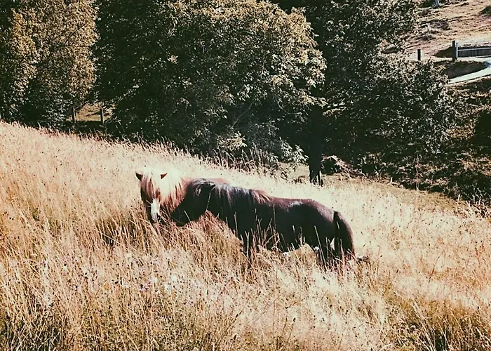 La Fuentona De Santillana