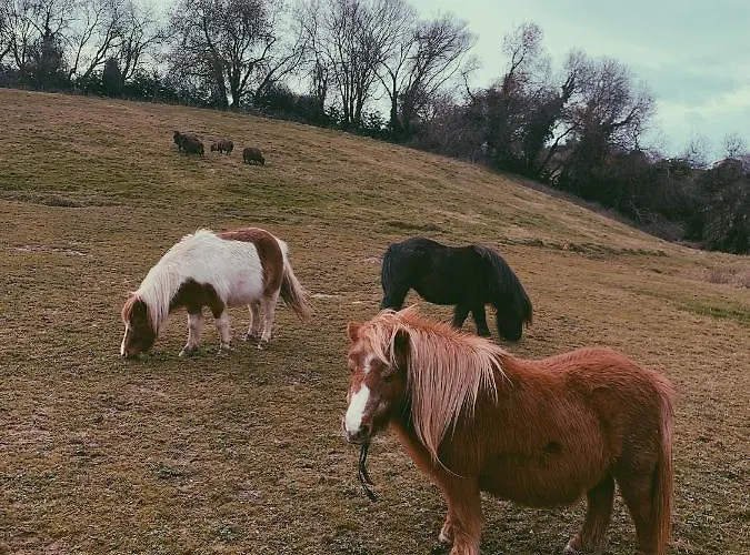 La Fuentona De Santillana * Vispieres