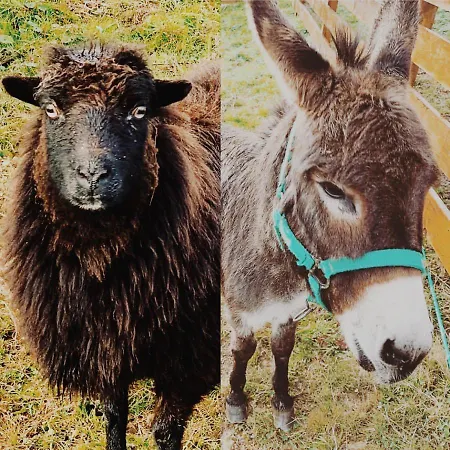 La Fuentona De Santillana Vispieres