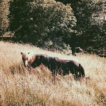 La Fuentona De Santillana