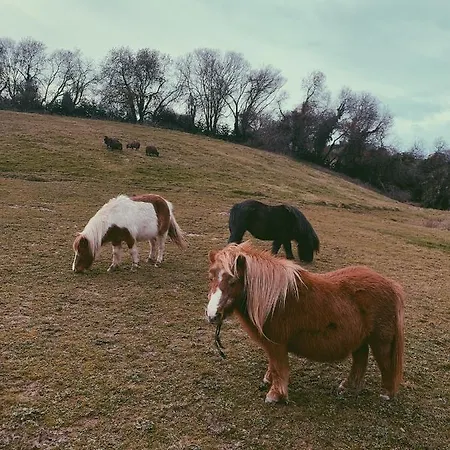 La Fuentona De Santillana * Vispieres